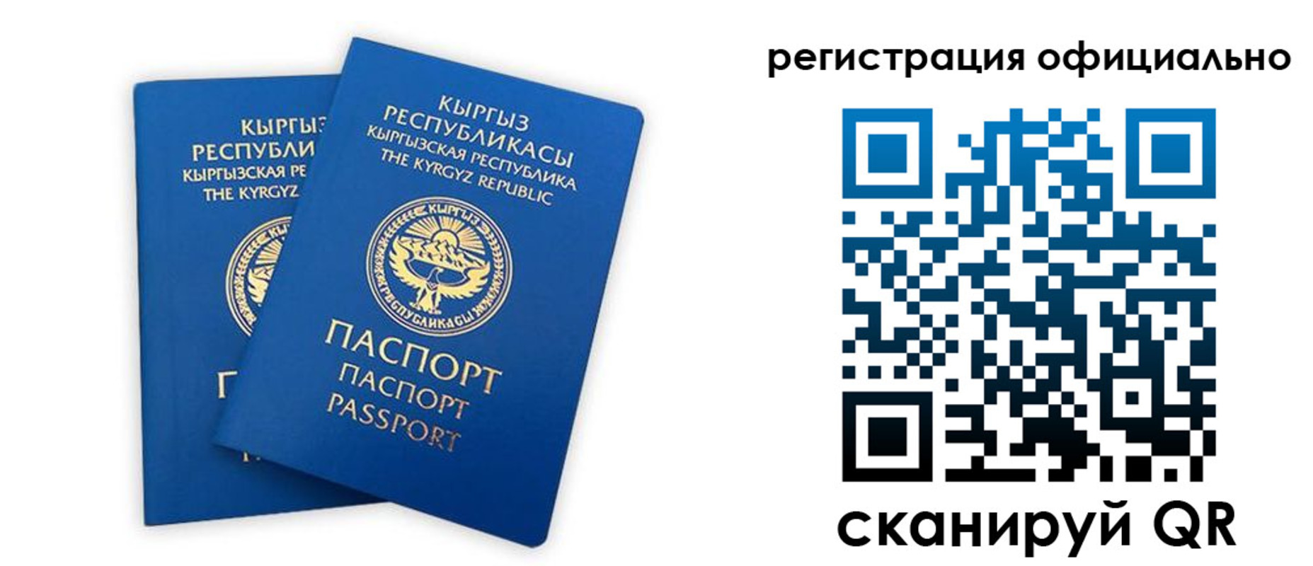прописка поиск в Волоколамске